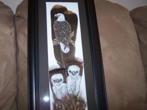 Framed Hand Painted Feathers any animal or bird (sample photos) See www.onwingsofbirds.com
