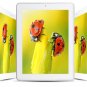 ONDA V813S Tablet PC - 8 '' Android 4.2.2 Allwinner A31S Quad Core 1GB+16GB Wifi