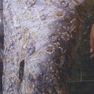 Dress 23