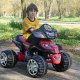 Kids Quads, Kids ATVs