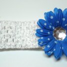 Large Gerbera Daisies- Blue and White Polka Dot