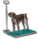 PSI AN500 Animal Scale Series