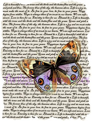 Midnight Butterfly Vintage Art Print 12x8 FREE SHIPPING shabby chic
