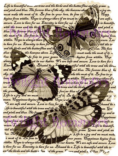 Beautiful Butterflies in sepia Vintage Art Print 12x8 FREE SHIPPING ...