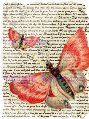 Dusky Pink Butterfly Vintage Art Print 12x8 FREE SHIPPING shabby chic