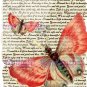 Dusky Pink Butterfly Vintage Art Print 12x8 FREE SHIPPING shabby chic
