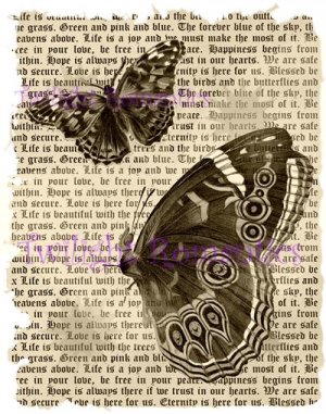 Shabby Chic Serene Butterfly in sepia Vintage Art Print 12x8 FREE SHIPPING