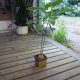 Home Decor Green to Yellow