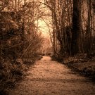 path