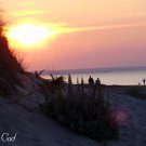 sunset on cape cod