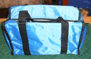 NICE BLUE INSULATED BAG - PERFECT FOR CDS OR VIDEO GAME