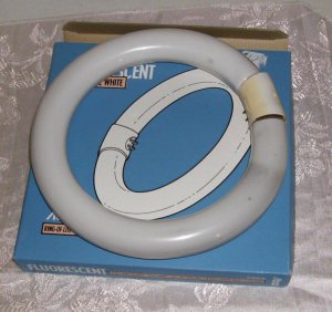 2 Flourescent Cool White Light Bulbs, 8" & 12", Abco