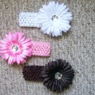 Neopolitan--Flower Clips with Matching Headband Set