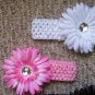 Neopolitan--Flower Clips with Matching Headband Set