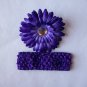 Purple Daisy with Matching Headband