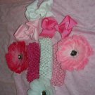 Pink-a-licious---Interchangeable Hair Bow Set---