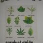 Survival Guide (Medium)