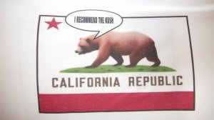 California republic (2Xl)