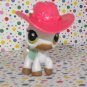 Littlest Pet Shop #338 Raceabout Ranch Horse LPS