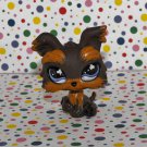 Littlest Pet Shop #509 Yorkie~Pet Pairs LPS