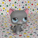 Littlest Pet Shop #74 Gray Kitty Cat~Snowfall Fun LPS