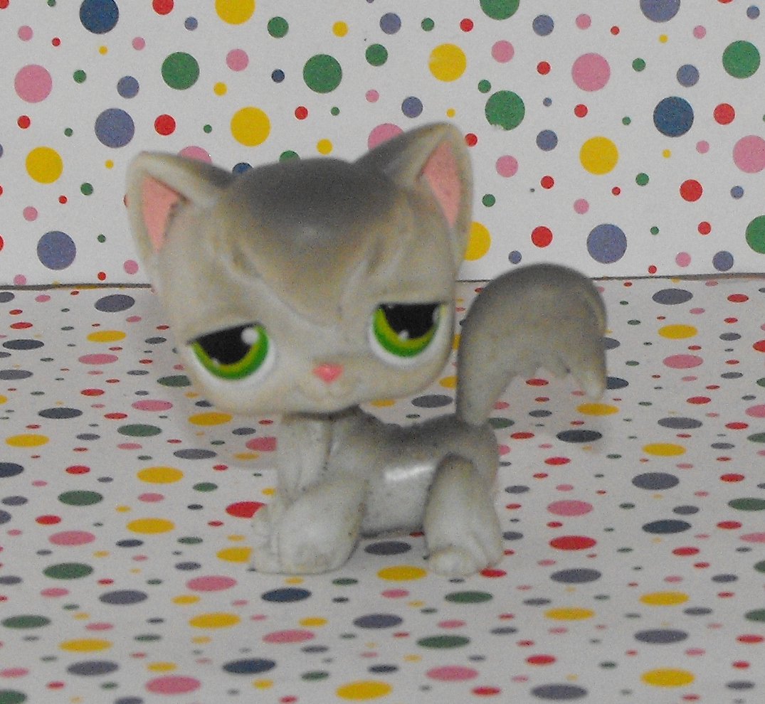 lps long haired cat