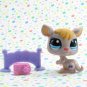 Littlest Pet Shop #1255 Kangaroo ~ LPS Pet Pairs