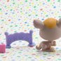 Littlest Pet Shop #1255 Kangaroo ~ LPS Pet Pairs