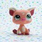 Littlest Pet Shop #1595 Humble Pie Bakeshop Pig ~ LPS