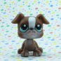 Littlest Pet Shop #83 Brown Boxer Dog ~ LPS Pet Pairs
