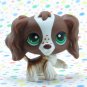 Littlest Pet Shop #156 Springer Cocker Spaniel Dog ~ LPS Carrying Case Pet