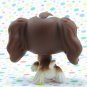 Littlest Pet Shop #156 Springer Cocker Spaniel Dog ~ LPS Carrying Case Pet