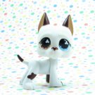 Littlest Pet Shop #577 Brown and White Great Dane Dog ~ LPS Singles