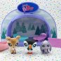 Littlest Pet Shop Light-Up Dome Wintertime Pals
