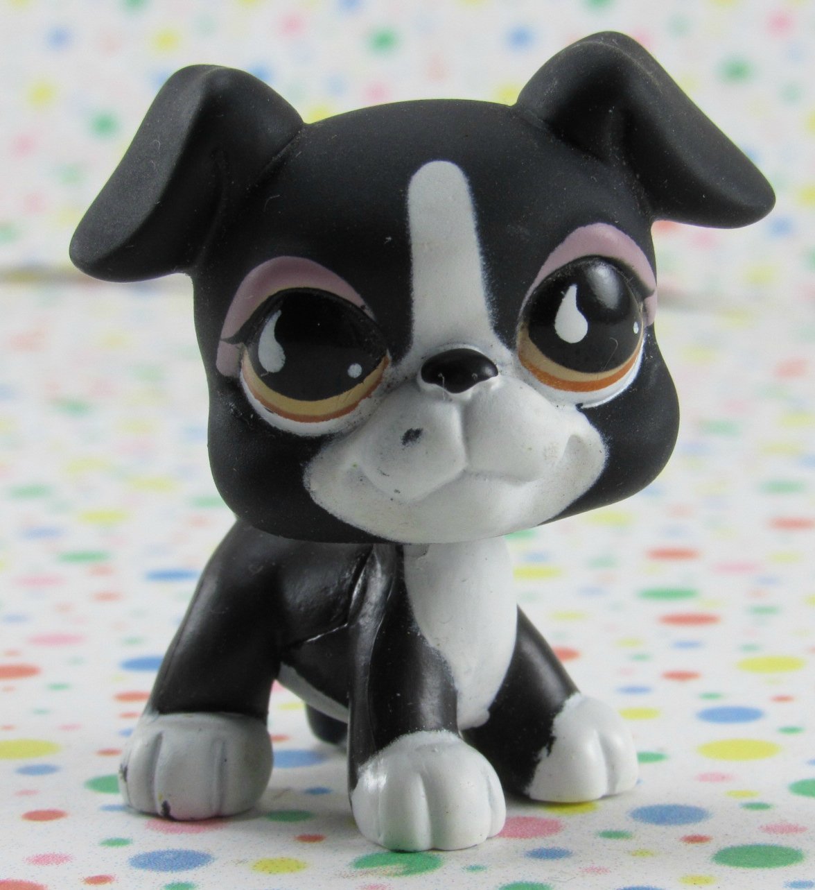 lps black and white dog