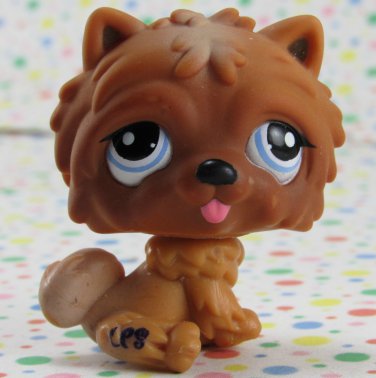 lps chow chow