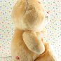 Vintage Kenner Champ Care Bear Trophy Bear 1985