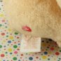 Vintage Kenner Champ Care Bear Trophy Bear 1985