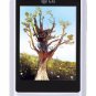 LG T300 Cookie Lite GSM Unlocked Cell Phone---White,Black,Pink