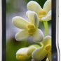 Unlocked Motorola XT711 3G Cell Phone---Brown
