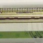 DELL PP37L 1545 M5010 1015 Laptop LED Screen