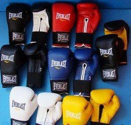 Everlast Leather Boxing Gloves
