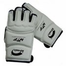 WTF certification Aprowin taekwondo protective gloves