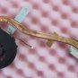 New Original DELL 15R N5010 M5010 Fan with Heatsink