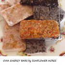 Healthy Chia Energy Bars Recipes-Gluten Free*2 Variations*Free Bonus! Healthy Chia Energy Bars Recipes-Gluten Free*2 Variations*Free Bonus!
