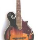 The Bedford F Style Mandolin
