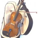Palatino Violins VA Viola