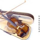 Palatino VN450 Violin Outfit