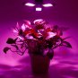 144 LED Grow Lights Full Spectrum Panel