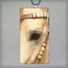 Special Rectangle glass pendant featuring Close up of Palomino's face